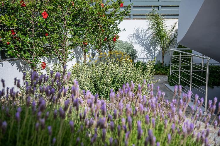 Sunset Elafonisi Apartments