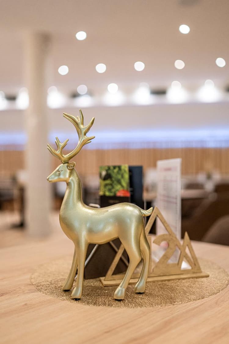 Goldhirsch Superior Aparthotel Wagrain