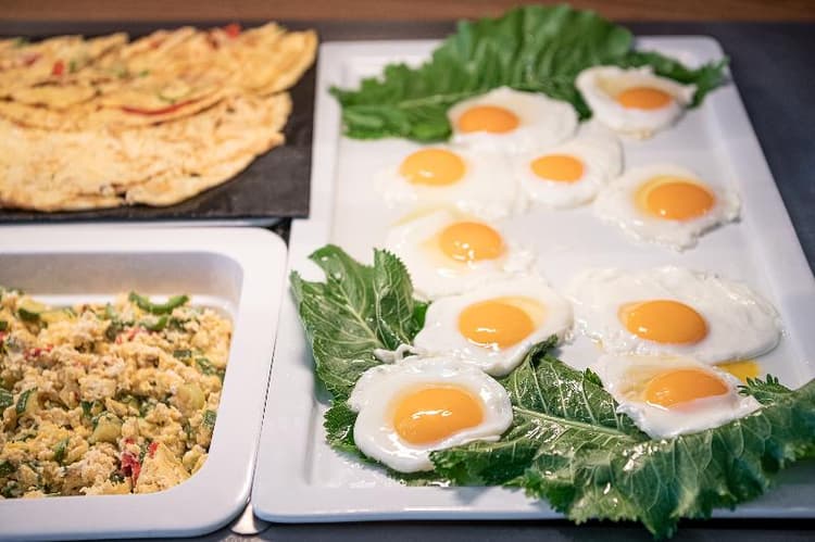 Elia Agia Marina Resort