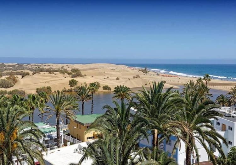 Apartamentos Los Cocoteros