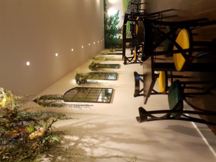 Grains Bar Hotel Limited