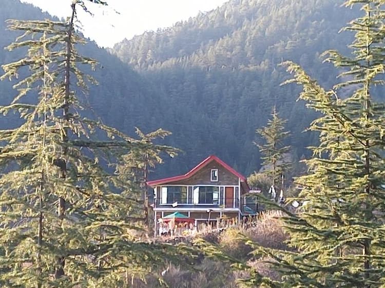 The Jungle Story By Headquarter