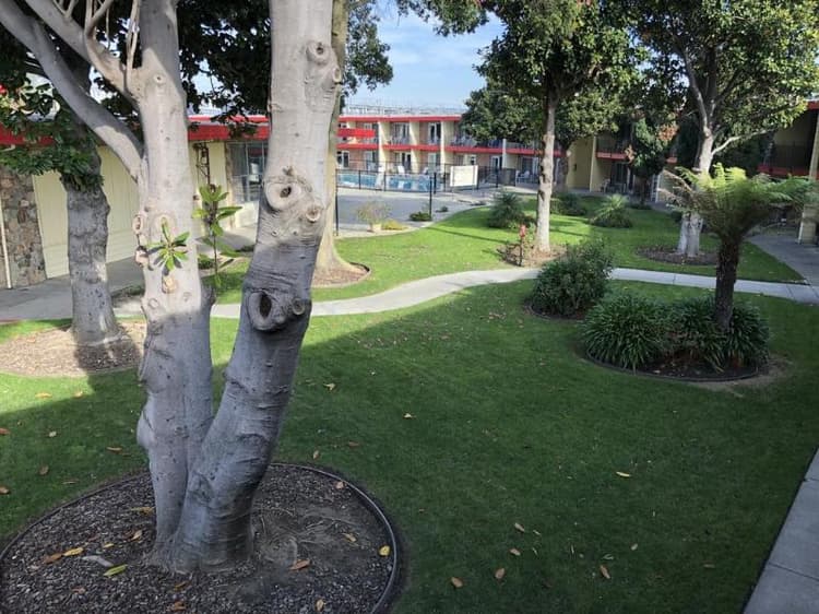 Econo Lodge  Inn & Suites Oakland Airport