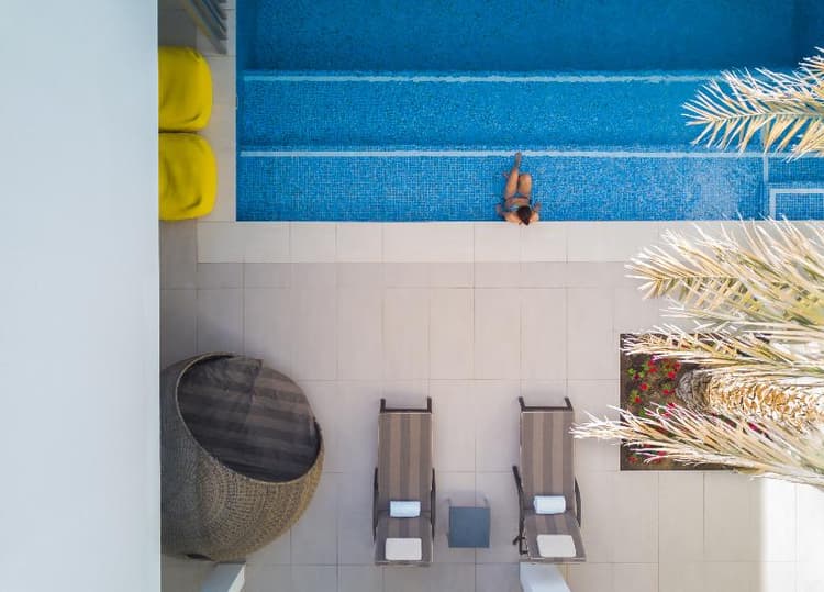 Melia Desert Palm Member of Melia Collection