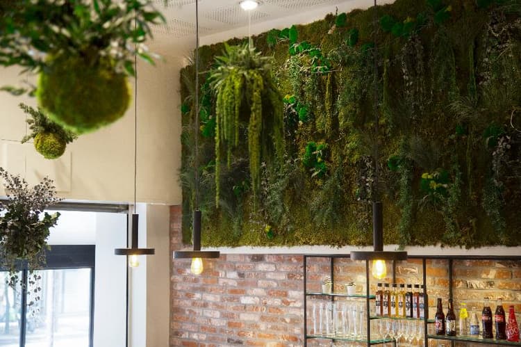 The Playce by HappyCulture