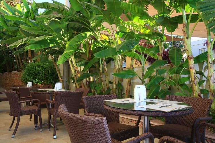 Mandarin Resort Bodrum