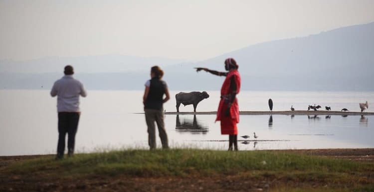 Sarova Lion Hill Game Lodge