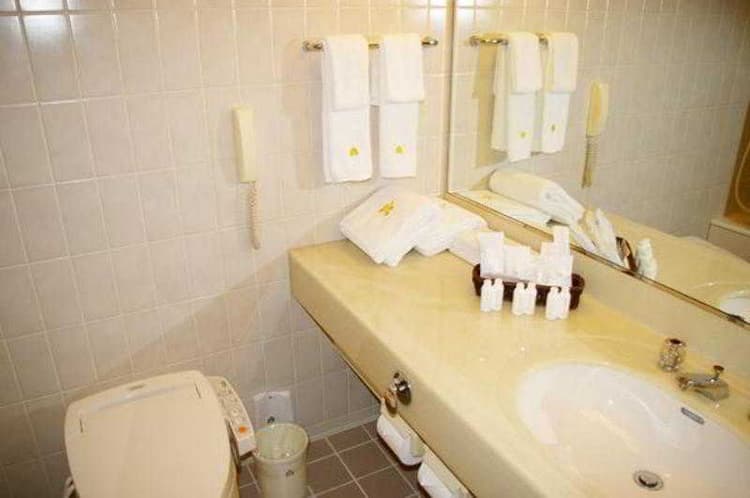 Tenza Hotel at Hakata Station