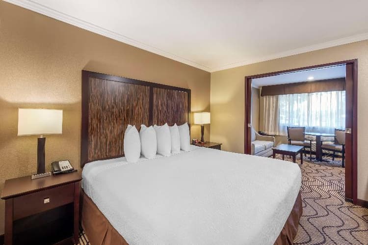 Best Western Plus Orchid Hotel & Suites