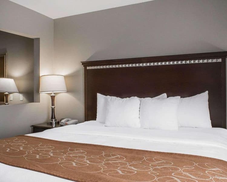 Comfort Suites Near Texas A and M - Corpus Christ