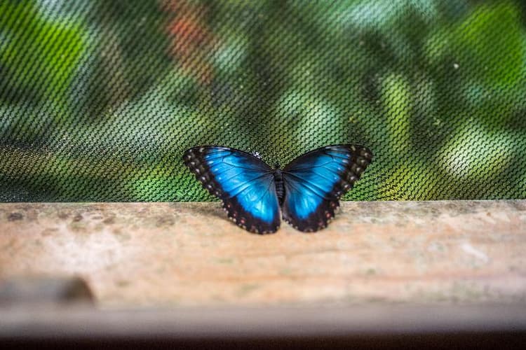 Si Como No Resort Spa & Wildlife Refuge