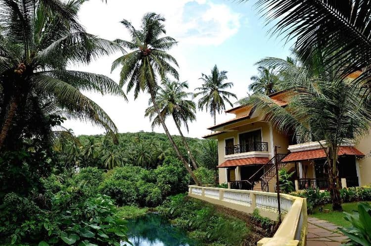 Collection O 40310 Devasthali