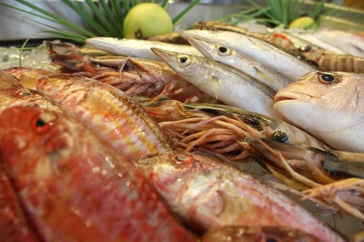 Coral Beach Hotel & Resort