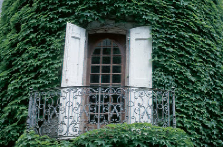Chateau D' Ayres