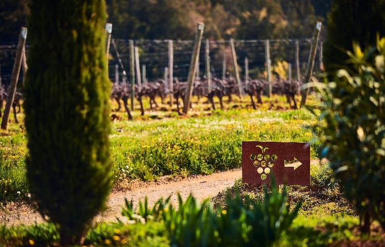 Hotel Castell D'Emporda