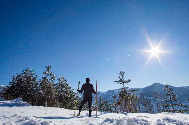 Grand Forest Metsovo