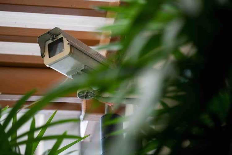 Synsiri 5 Nawamin 96