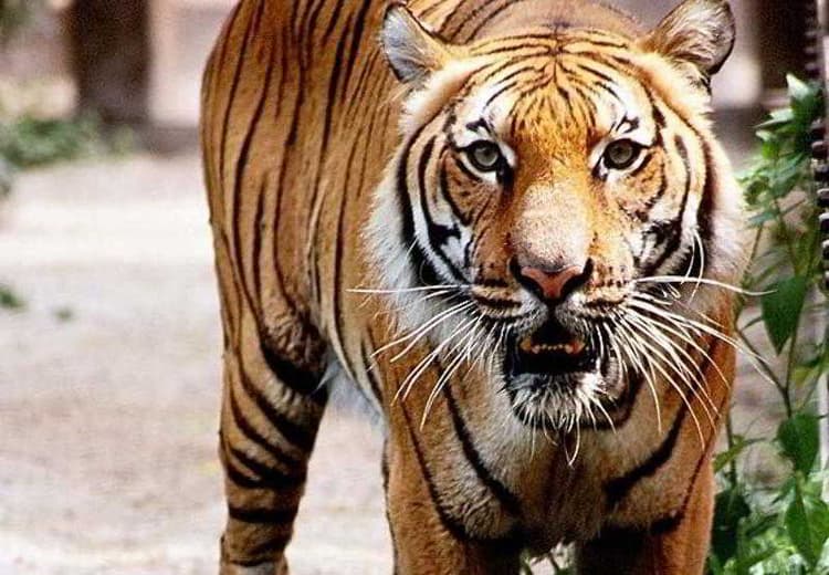 Residence Inn Houston Northwest/Willowbrook