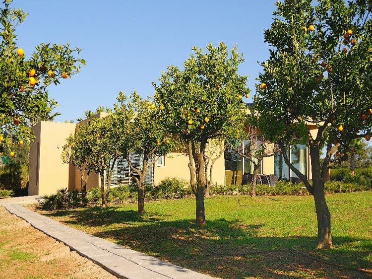 Montargil Monte Novo
