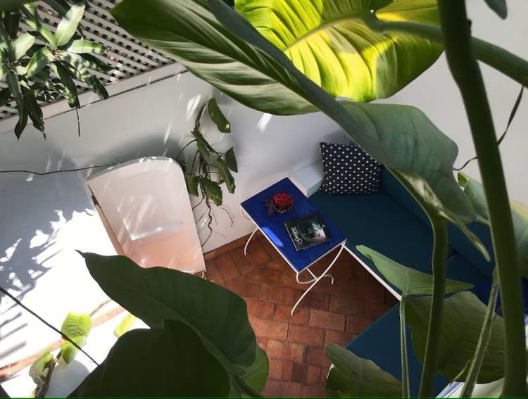 Lez Lezards Bed & Breakfast