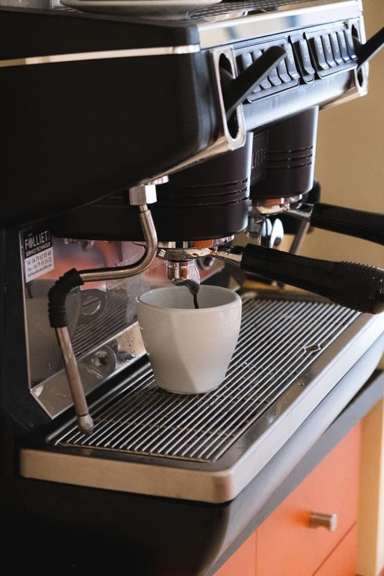 Ours Blanc Toulouse Centre