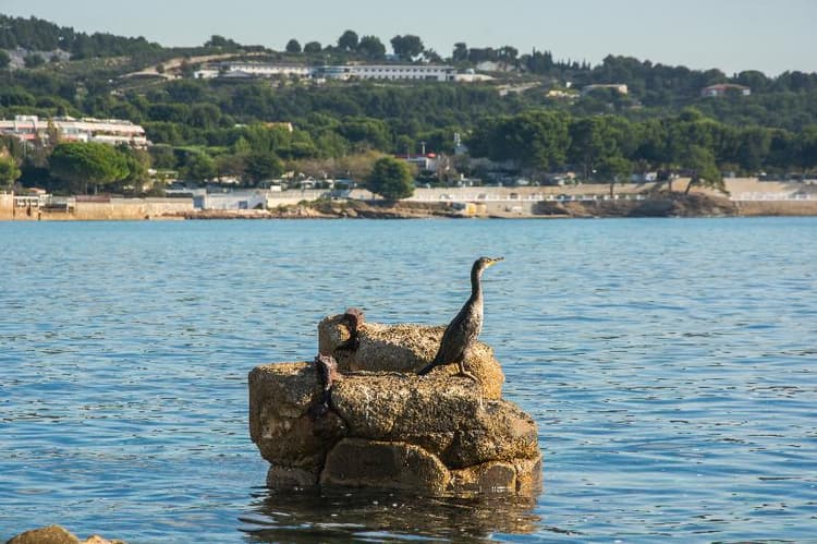 Hotel Plage Saint Jean
