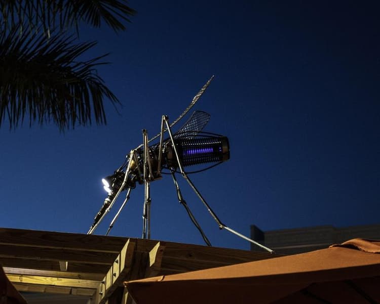 TownePlace Suites Boynton Beach