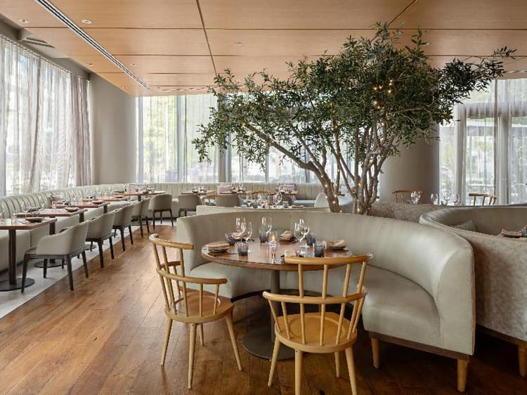 Dua Miami, Autograph Collection