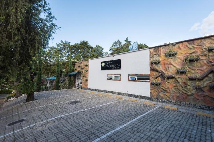 Aromax Del Campestre