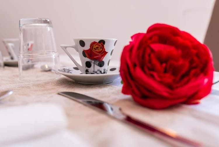 Le Undici Rose