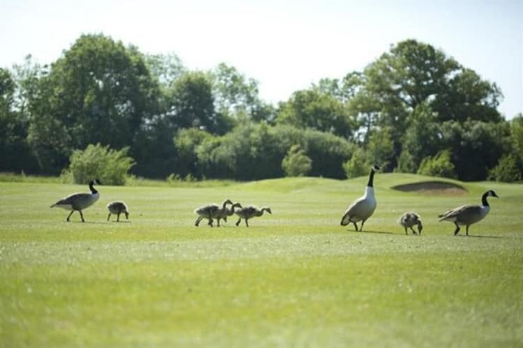 Sandford Springs Hotel & Golf Club