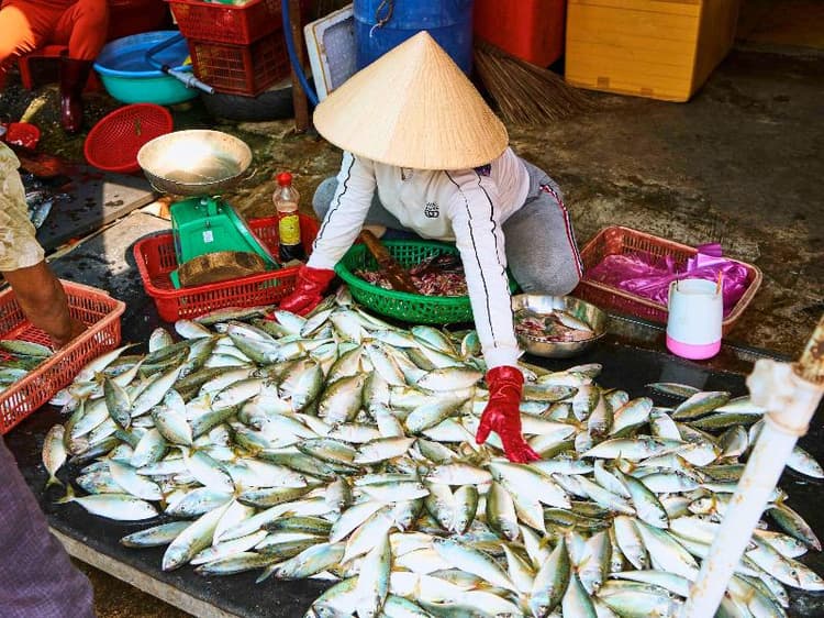 Movenpick Villas & Residences Phu Quoc