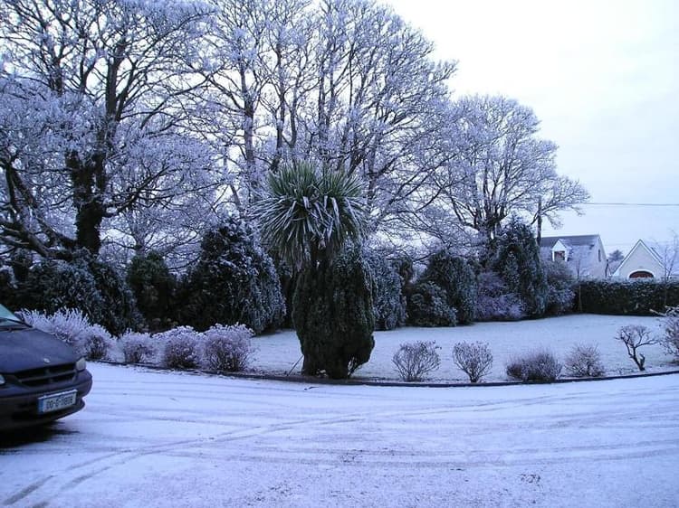 Mountain View Guesthouse