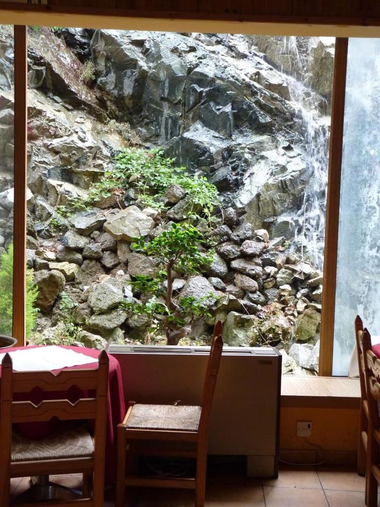 Mountain Rose Garden Hotel