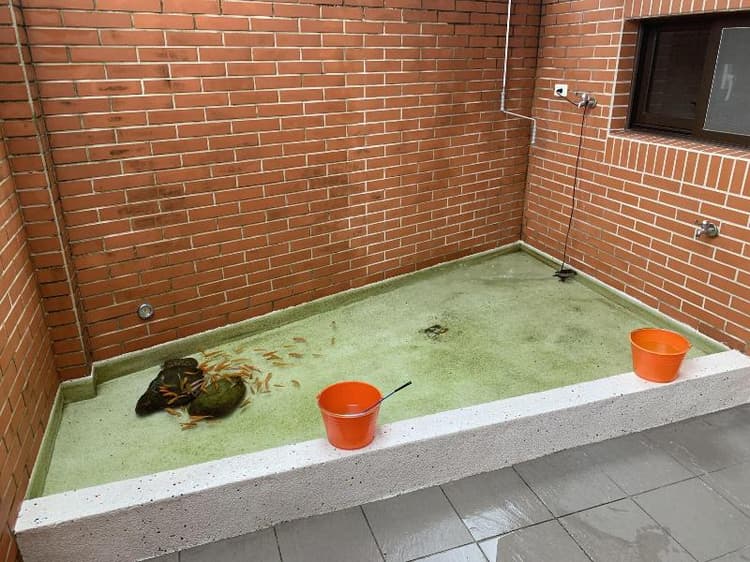 Dan Dan Bed And Breakfast