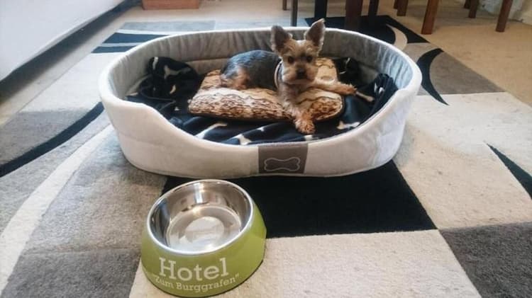 Pension Zum Burggrafen