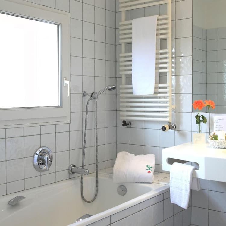 La Verniaz Et Ses Chalets