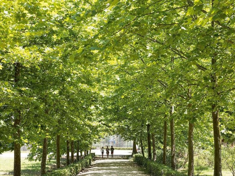 Grecotel LUXME Costa Botanica