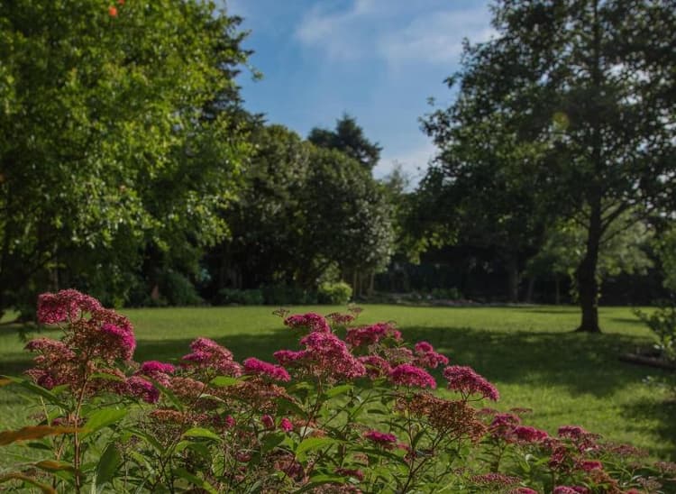 Relais Corte Rodeschi