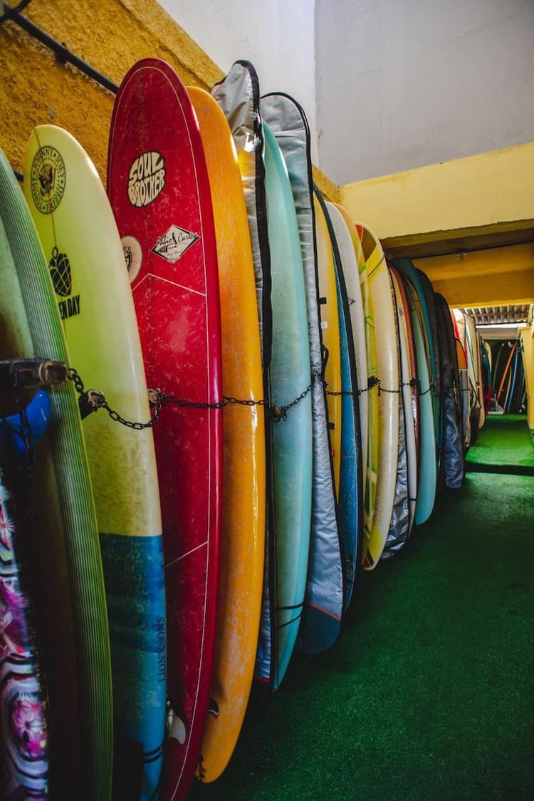 Longboard Paradise Suites