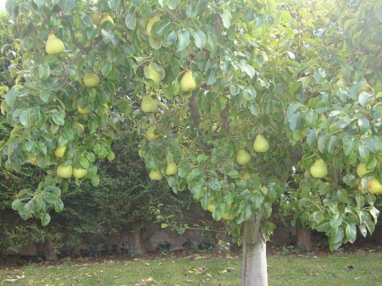 Hotel Rural La Llosa De Samano