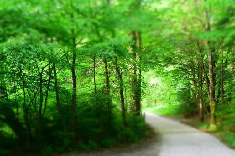 Landhotel Almrefugio