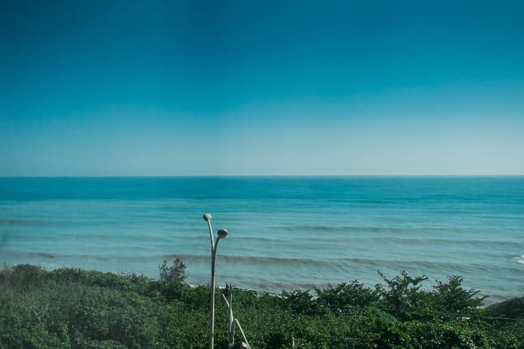 Ocean Paradise