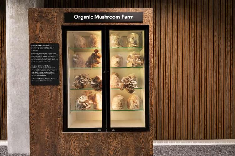 Dolce by Wyndham Comwell Copenhagen Portside