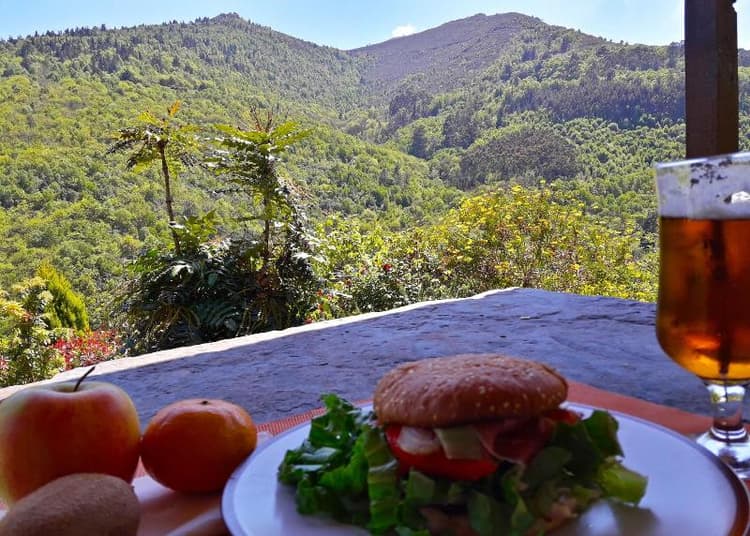 El Bosque de las Viñas