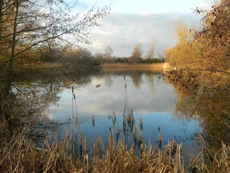Watermeadow Lakes And Lodges