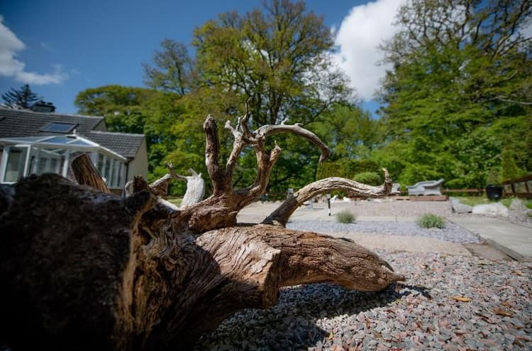 Birchbank B B Scotland