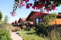 Leontopolis Apart Otel