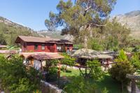 Koala Bungalows