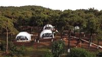 Büyükada  Glamping